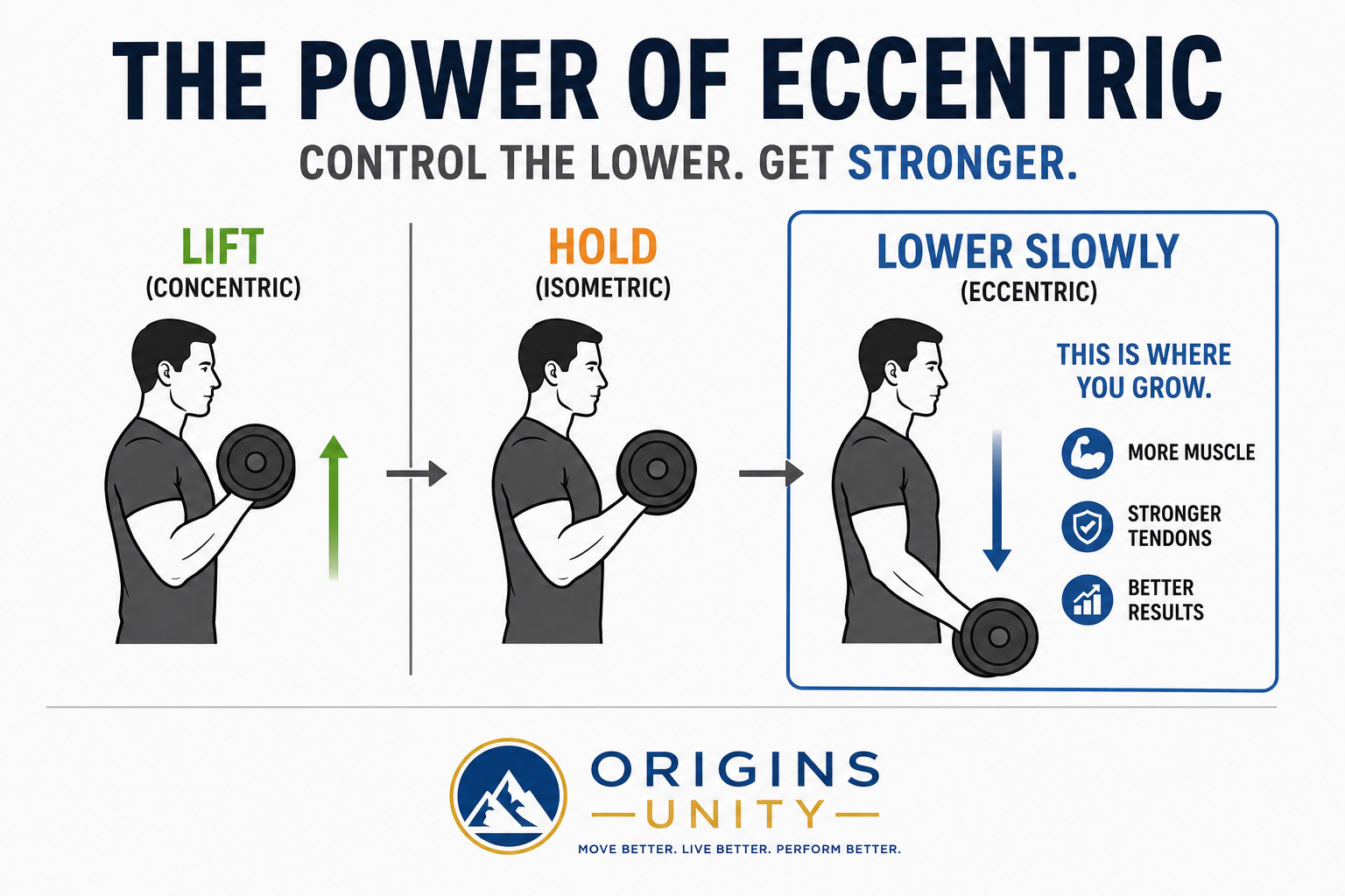 eccentric phase bicep curl diagram