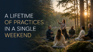integrated living holistic wellness retreats